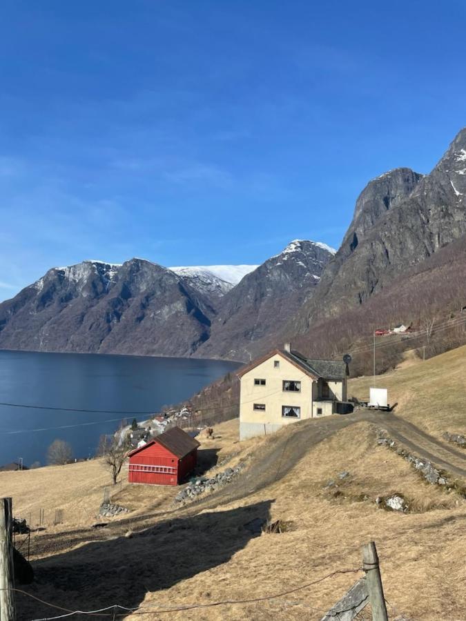 Aurland Stegastein Apartment Exteriör bild