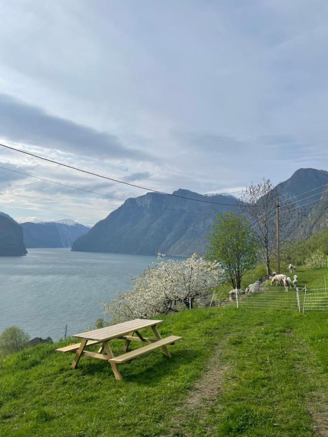 Aurland Stegastein Apartment Exteriör bild