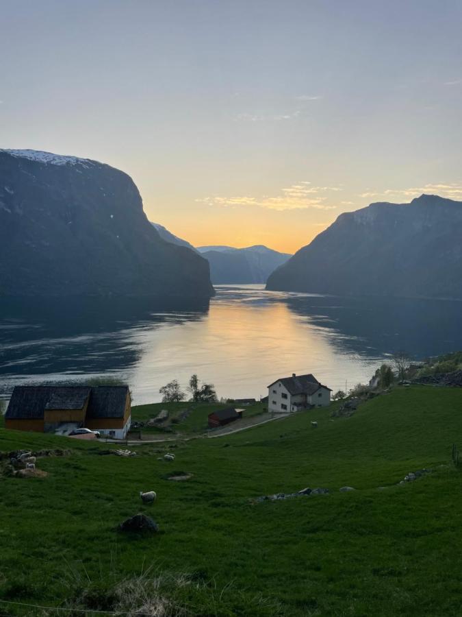 Aurland Stegastein Apartment Exteriör bild